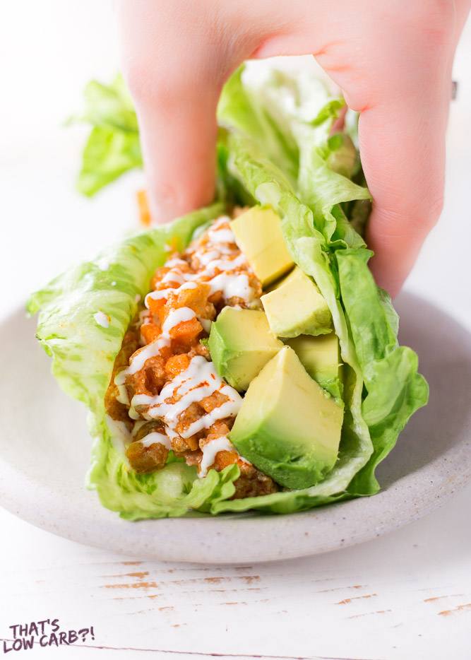 Low Carb Buffalo Sloppy Joes