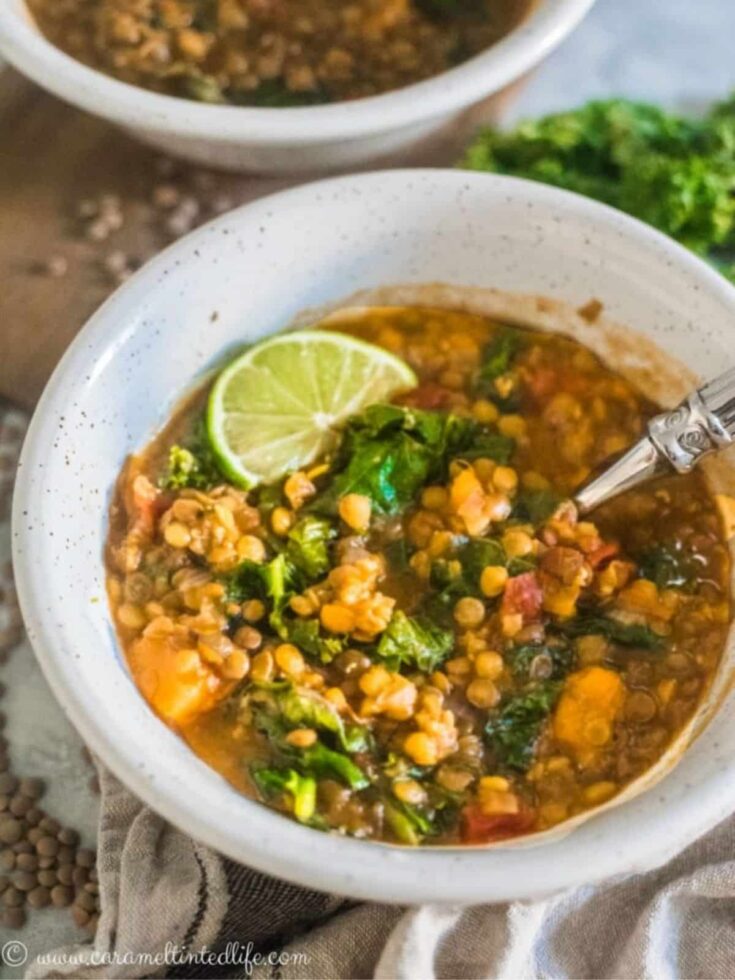 21 High Protein Instant Pot Recipes All Nutritious