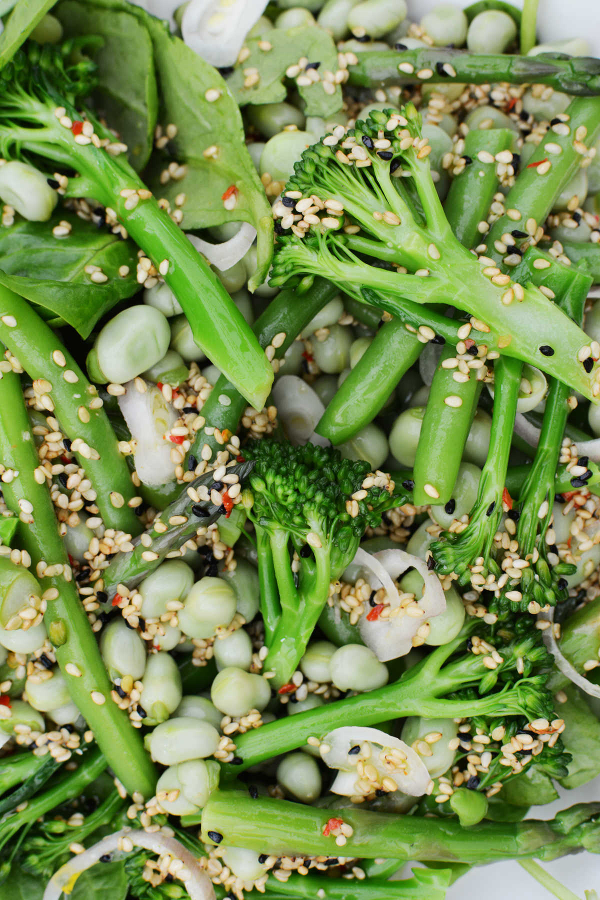 Roasted Broccolini Salad with Crispy White Beans