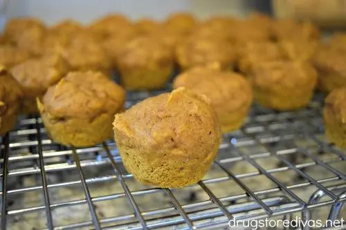 Carrot Cake Muffins