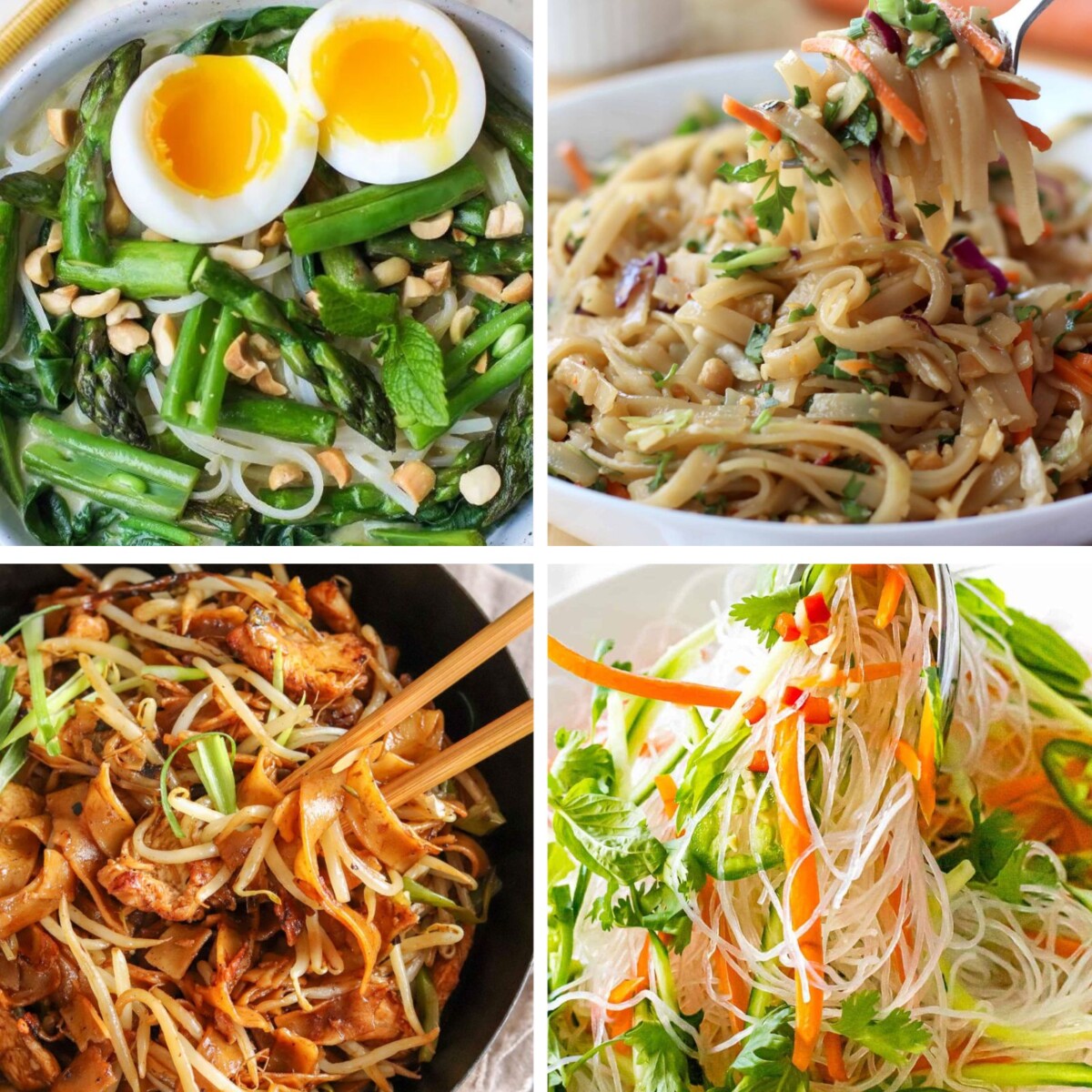 21 Easy Rice Noodle Recipes - All Nutritious