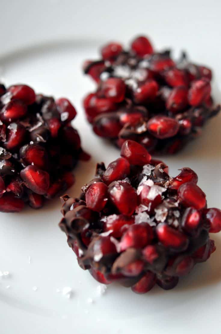 pomegranate chocolate bite