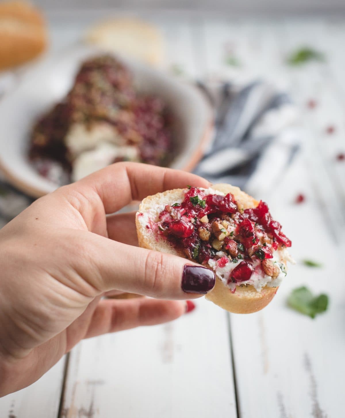 cranberry goat cheese log