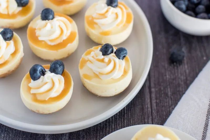 cheesecake bites