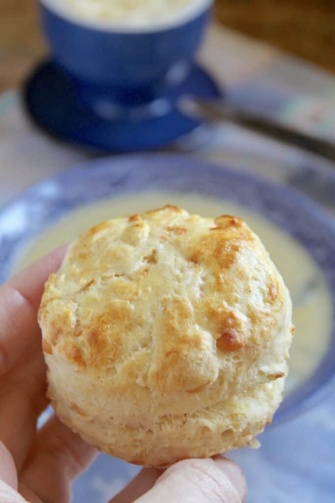 parsnip scones