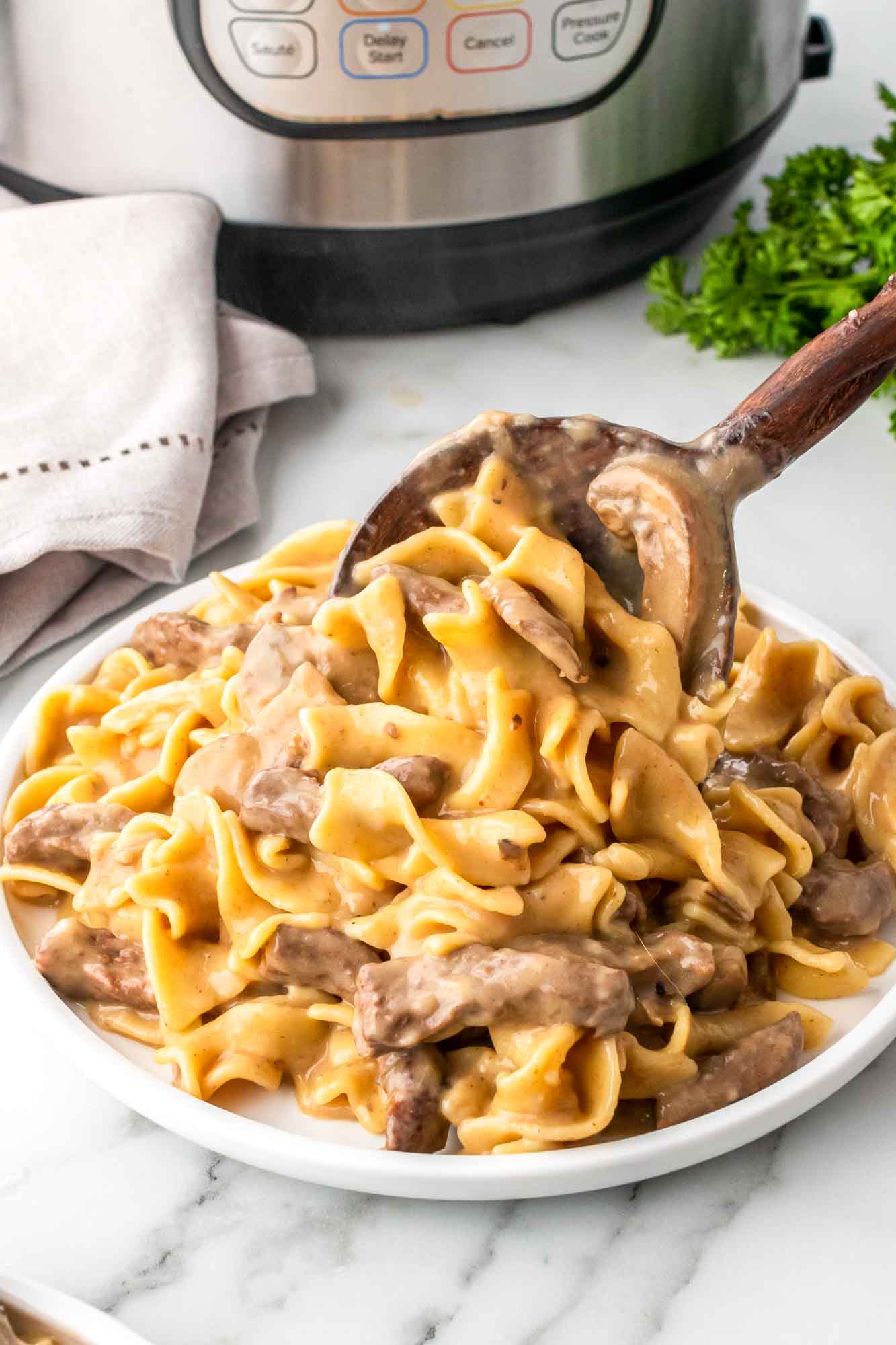 beef stroganoff