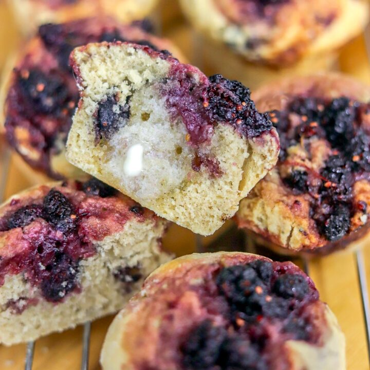 mulberry muffins