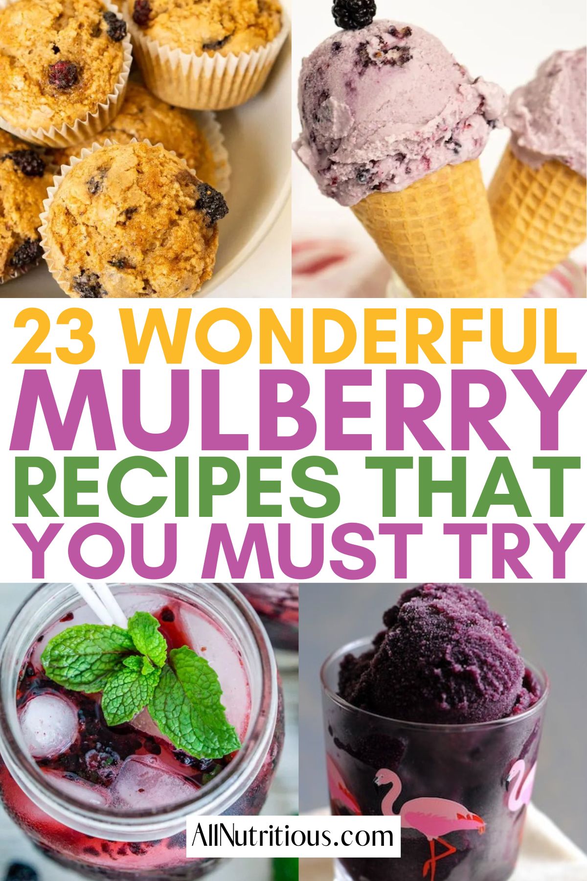 mulberry recipe ideas