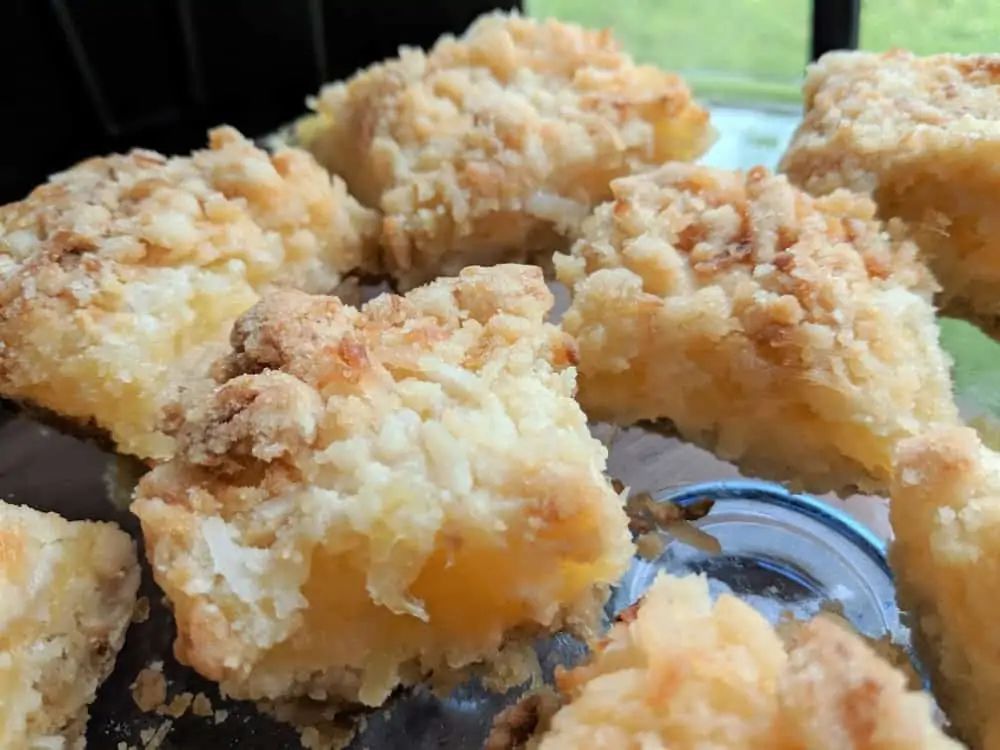 Pineapple Coconut Bars