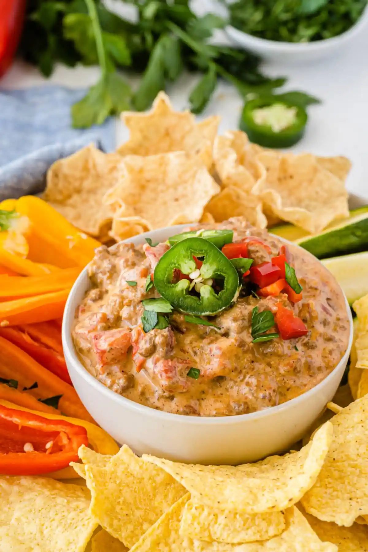 rotel dip with ground beef and sausage