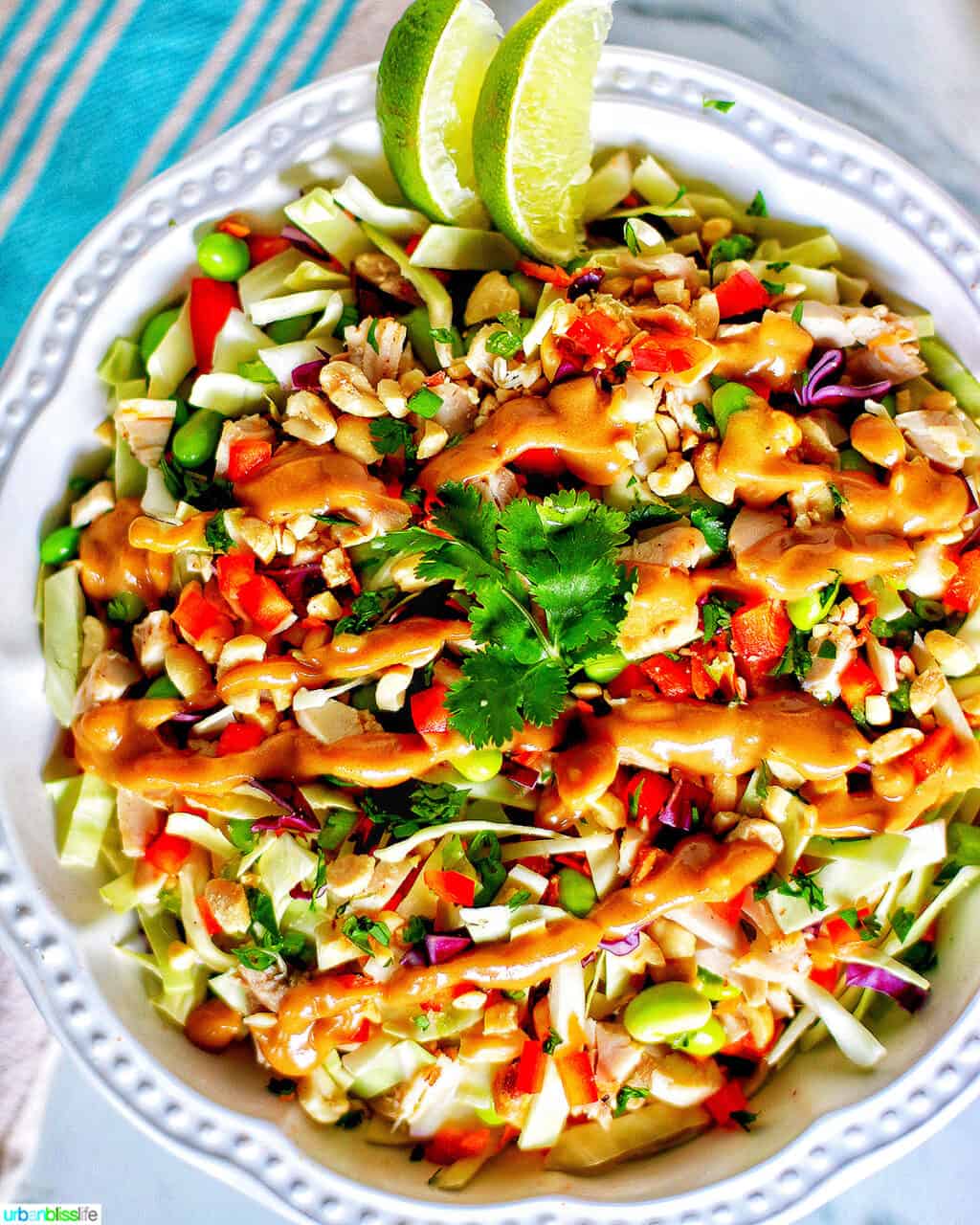 Thai chicken salad with peanut dressing