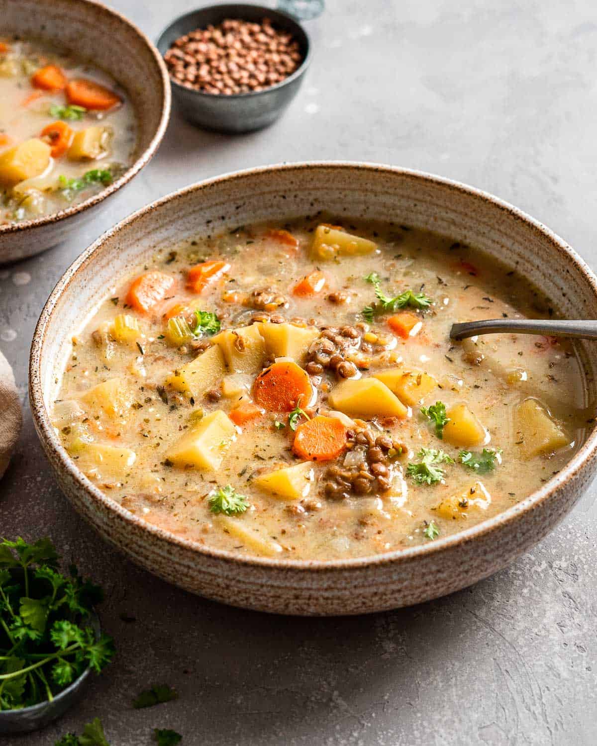 vegetarian lentil soup