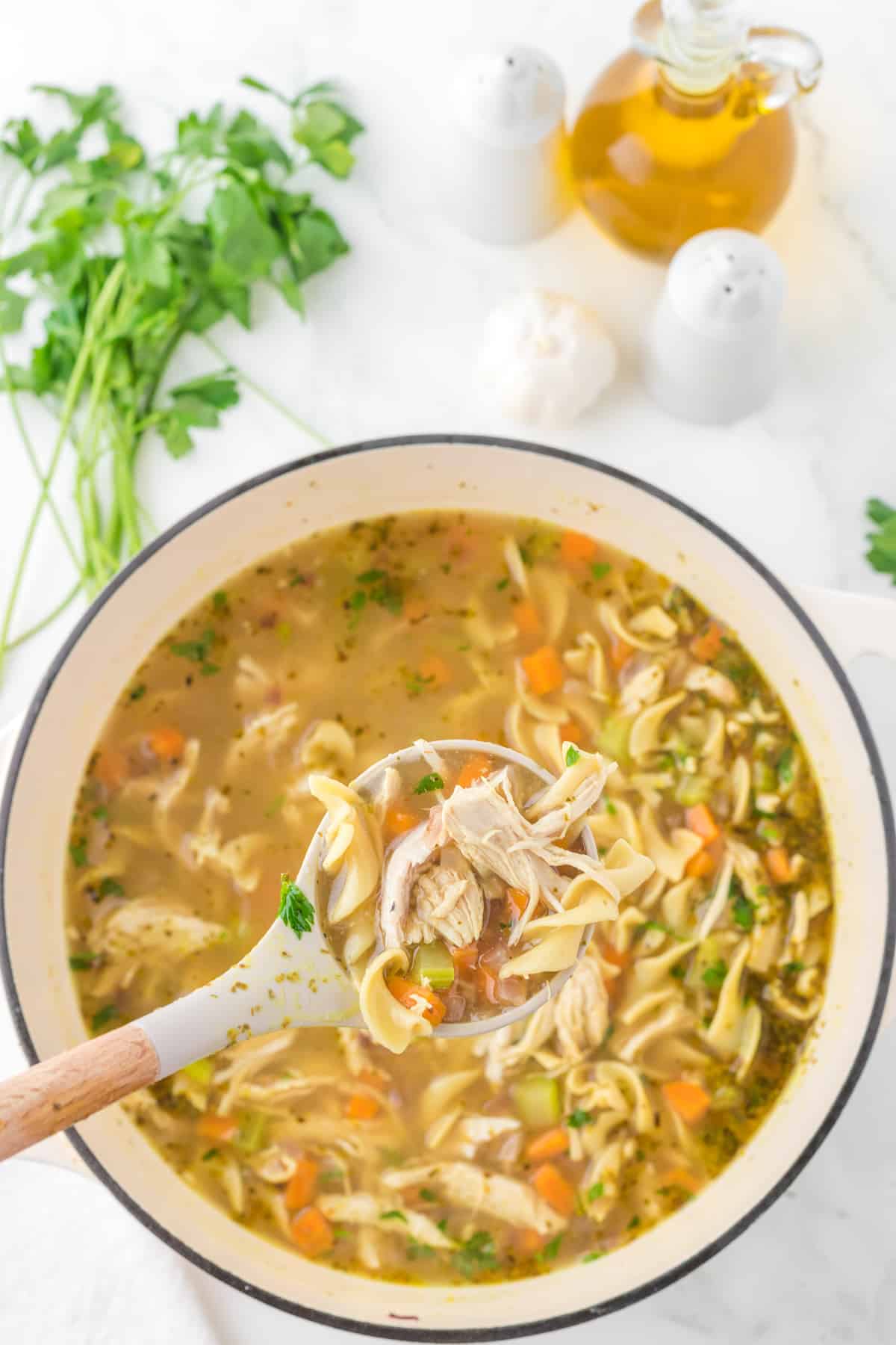 chicken noodle soup