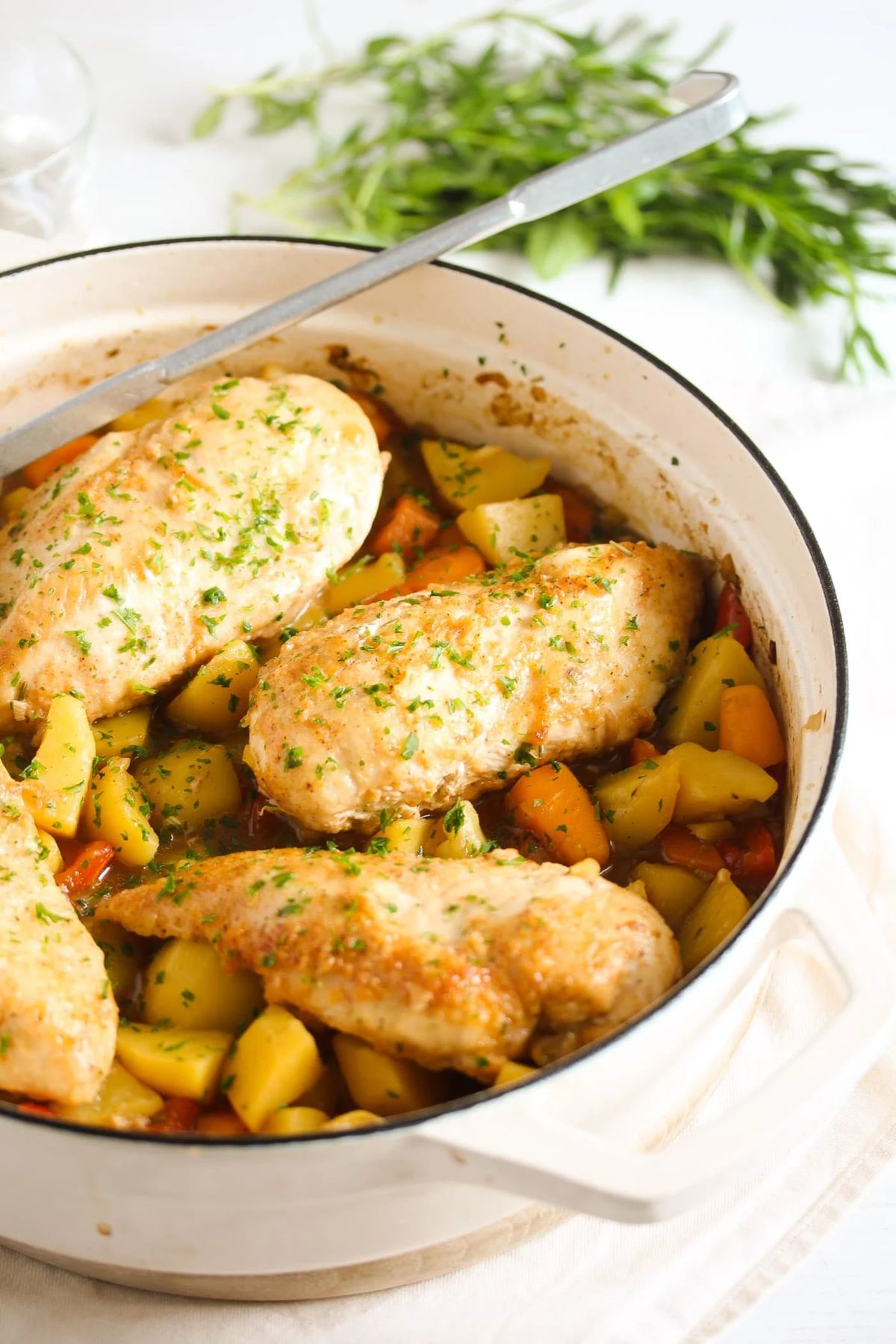 chicken breast with potatoes and vegetables
