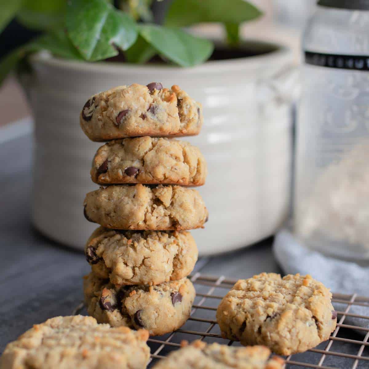 coconut flour oatmeal cookies