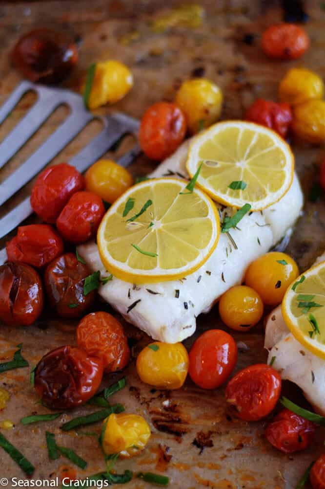 roasted cod with tomatoes