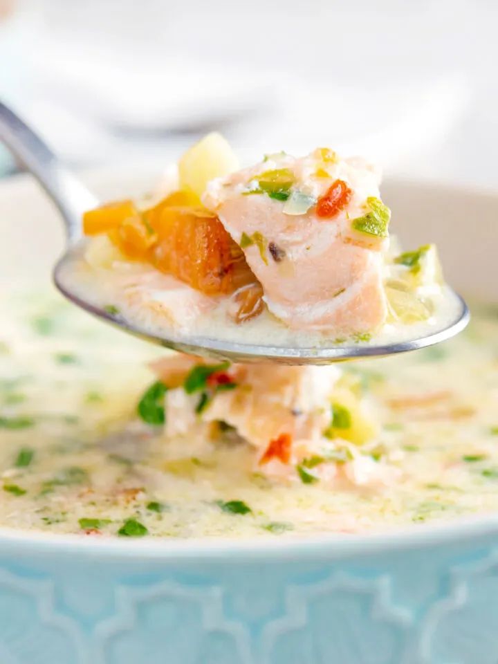 salmon chowder