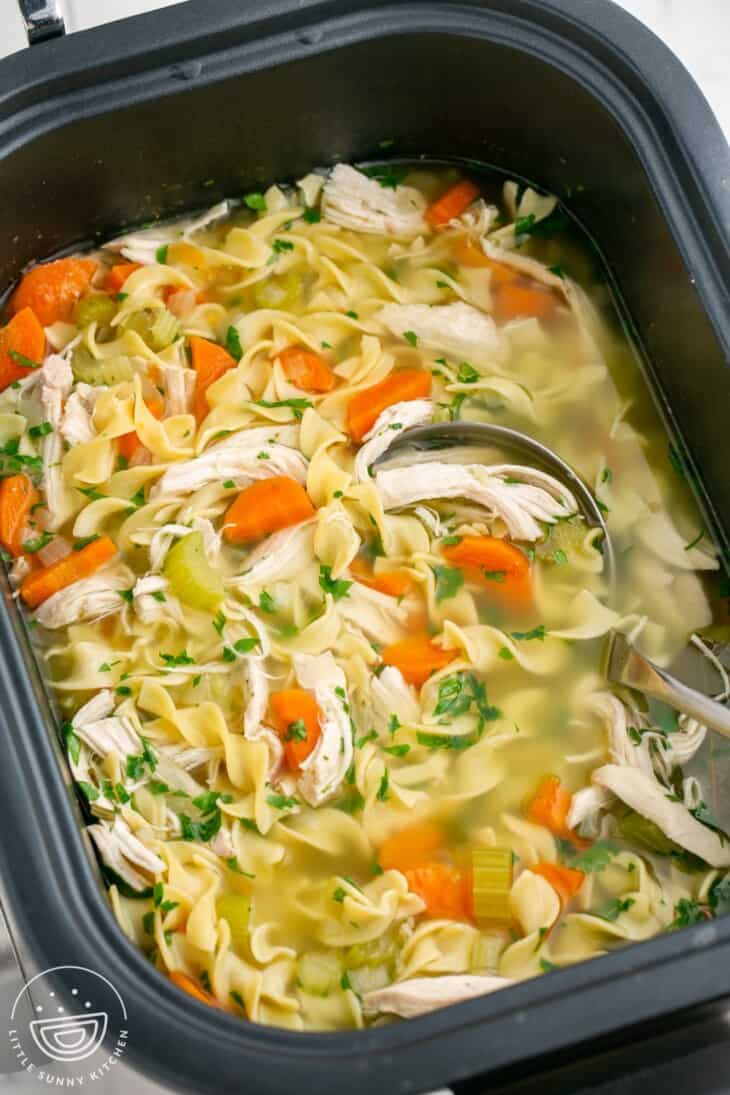 chicken noodle soup