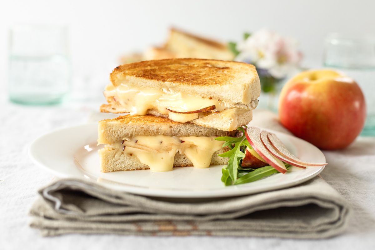 brie and apple toasted sandwich