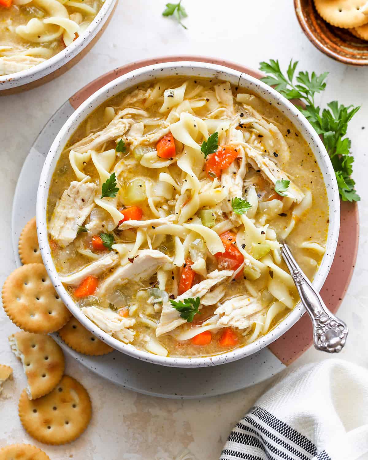 chicken noodle soup