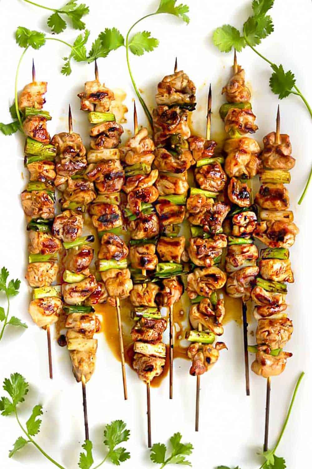 yakitori chicken