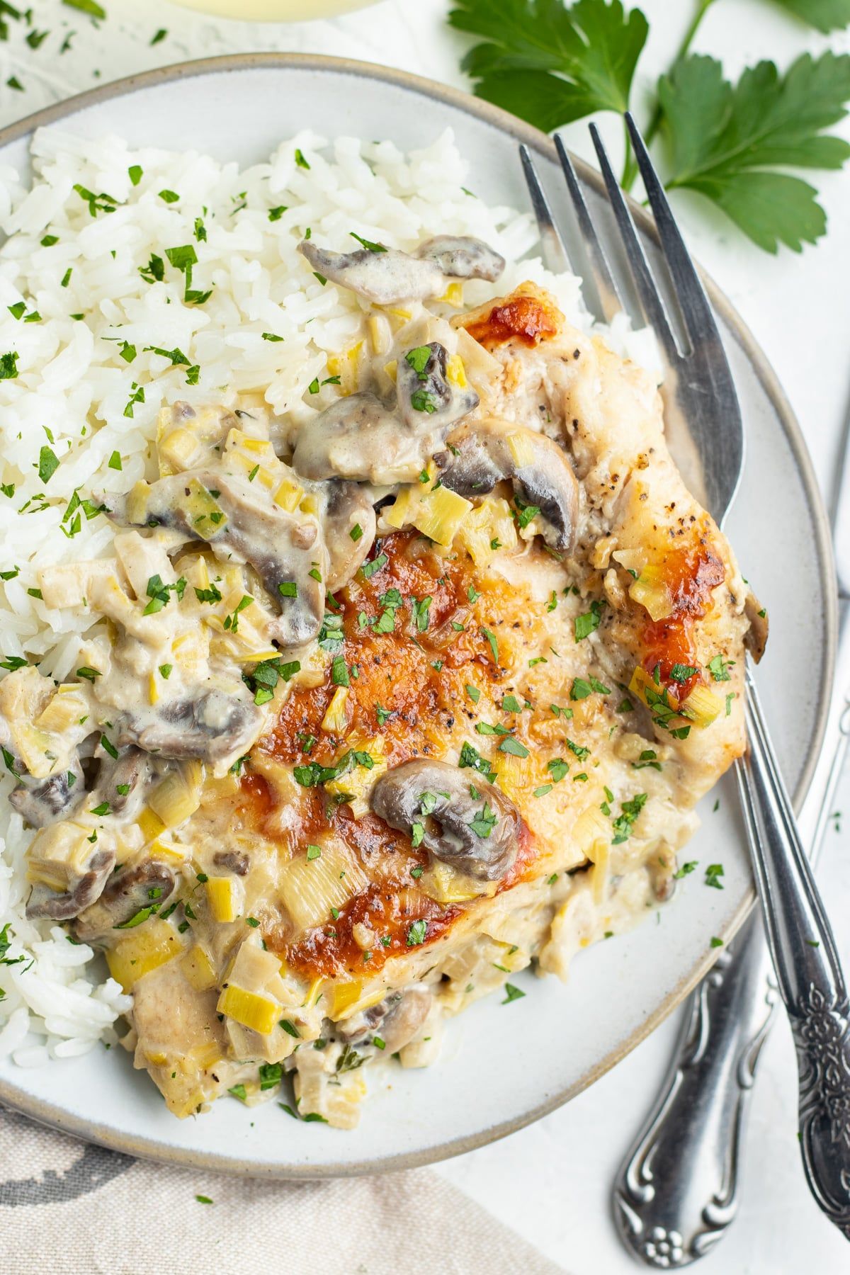 creamy djon chicken mushrooms and leeks