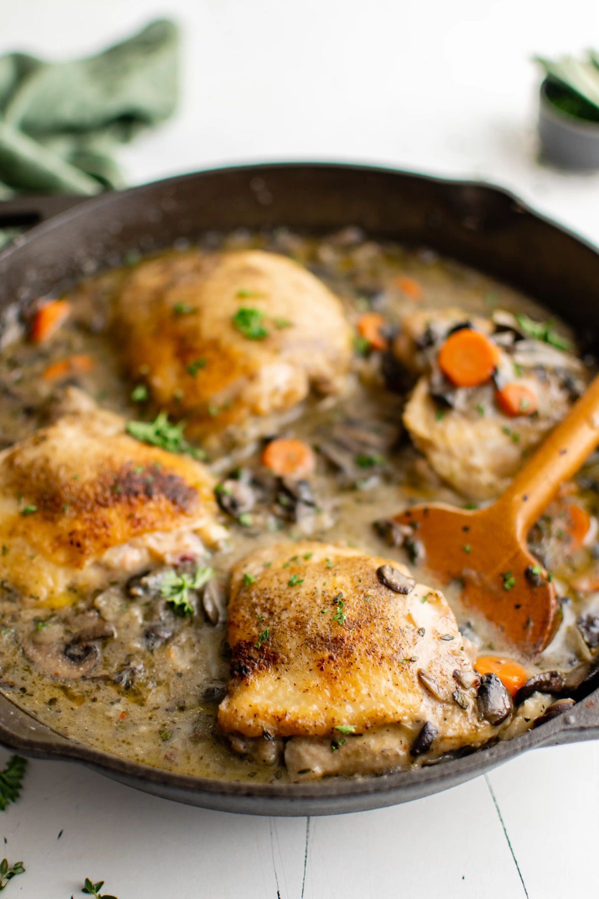 chicken fricassee