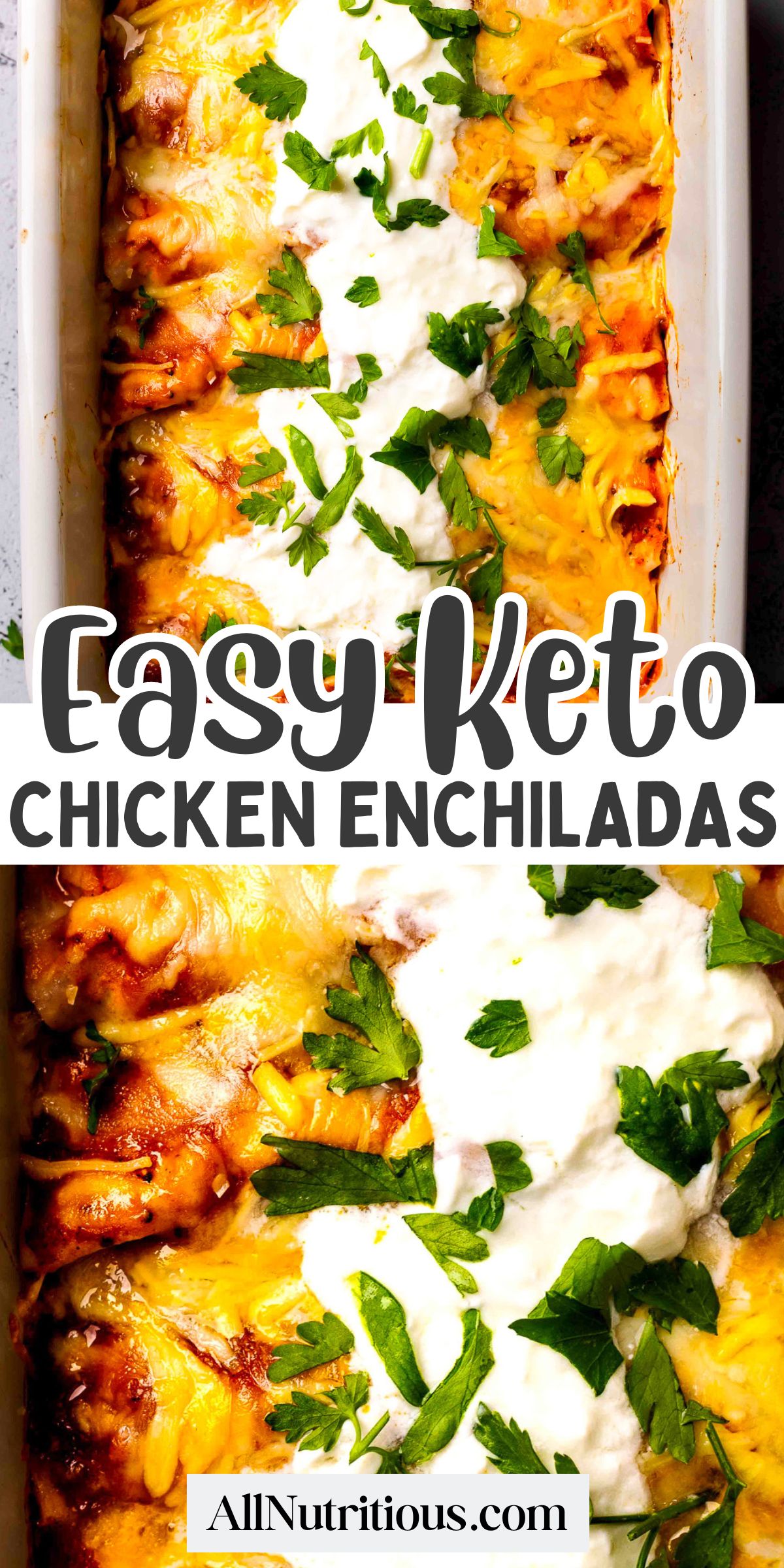 ketogenic chicken enchiladas recipe