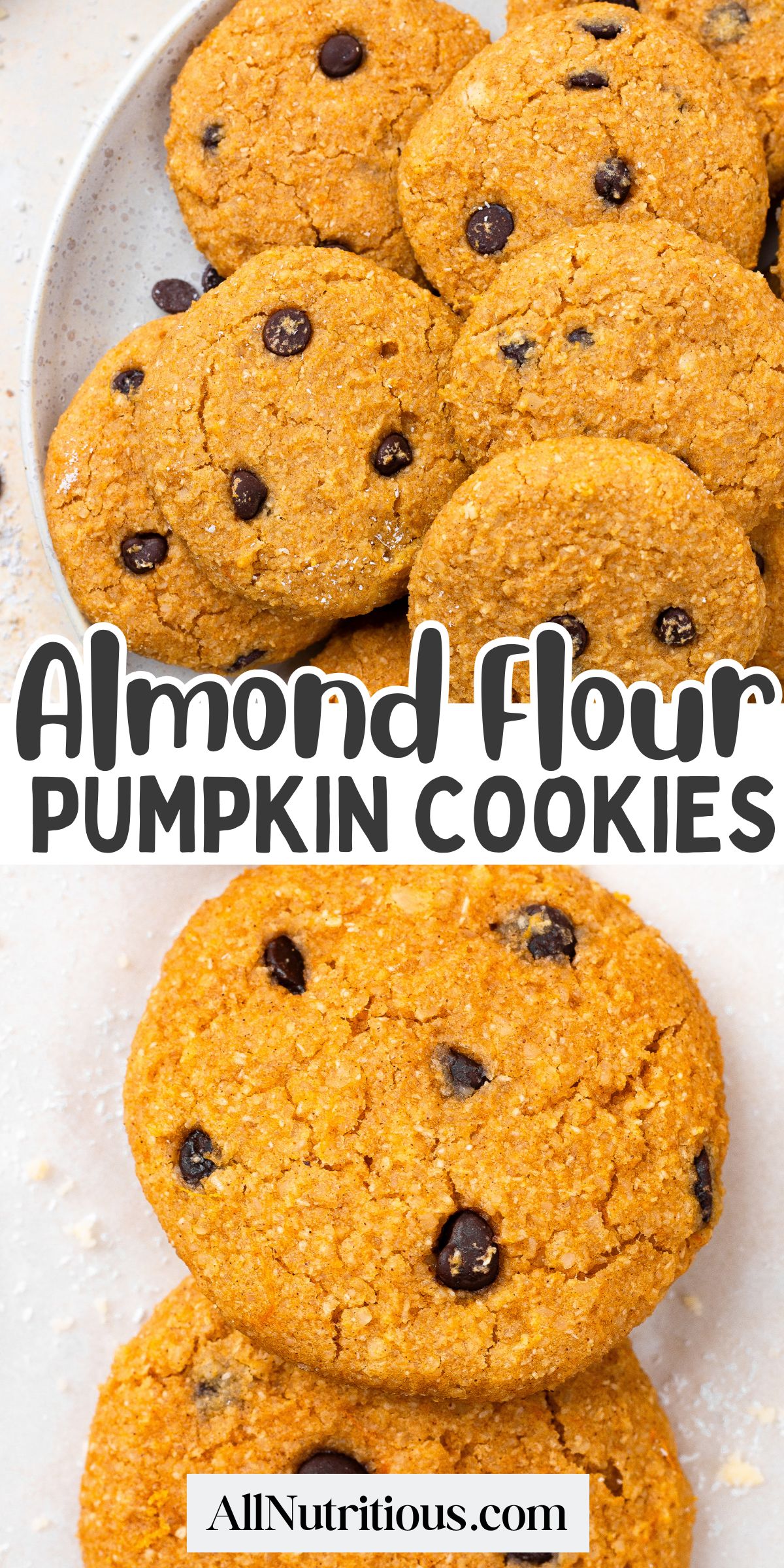Almond Flour Pumpkin Cookies