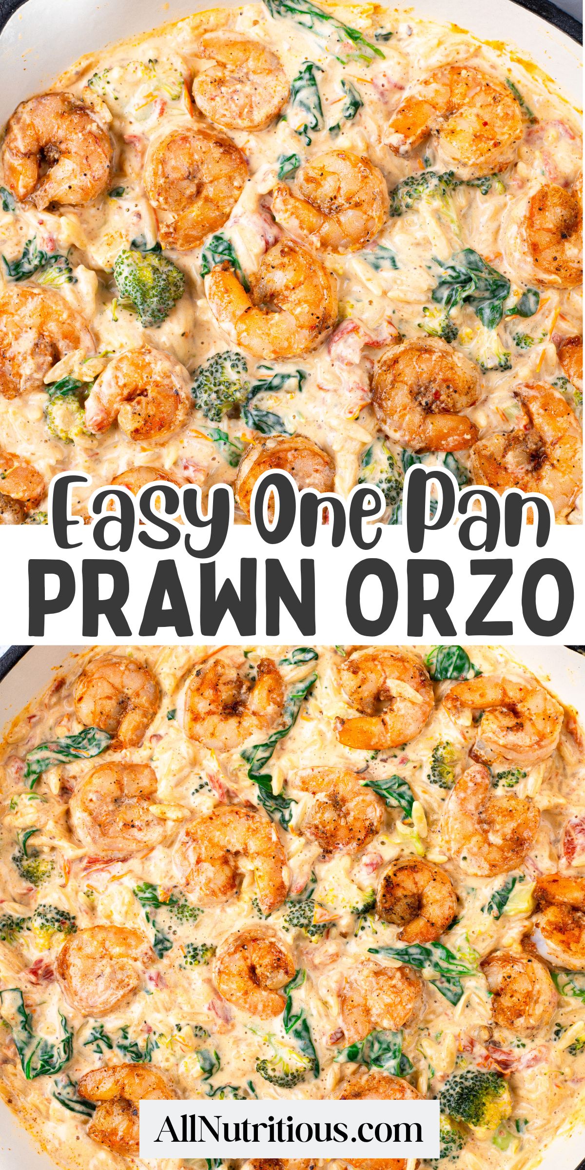 prawn orzo
