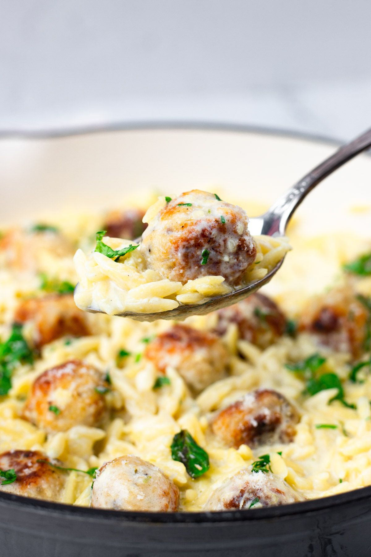 Savory Chicken Meatballs with Orzo
