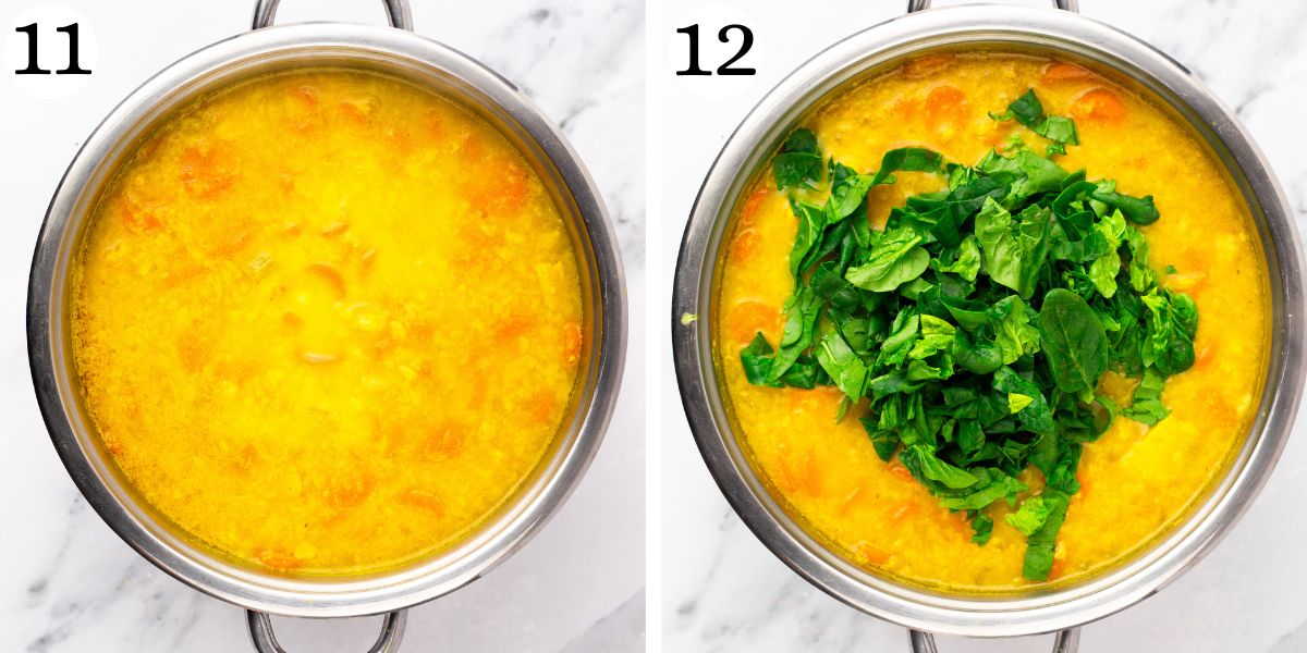 Nutritious Turmeric Chicken Soup Instructions 11-12