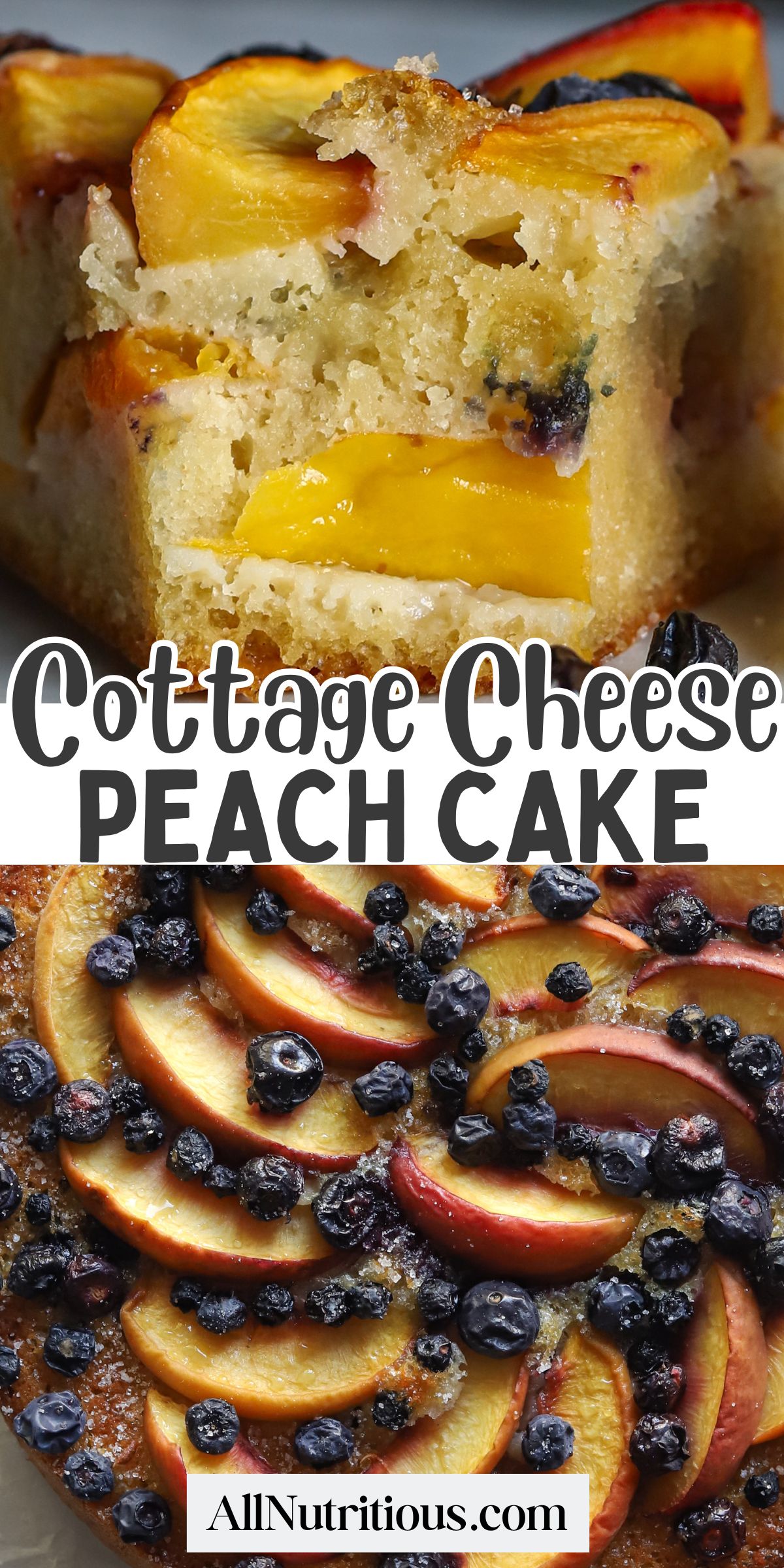 Peach Blueberry Cottage Cheese Cake