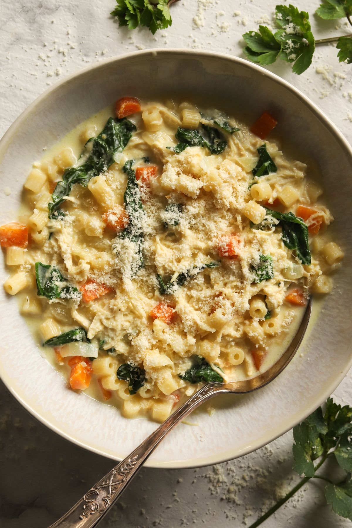 Creamy Chicken Pasta Soup