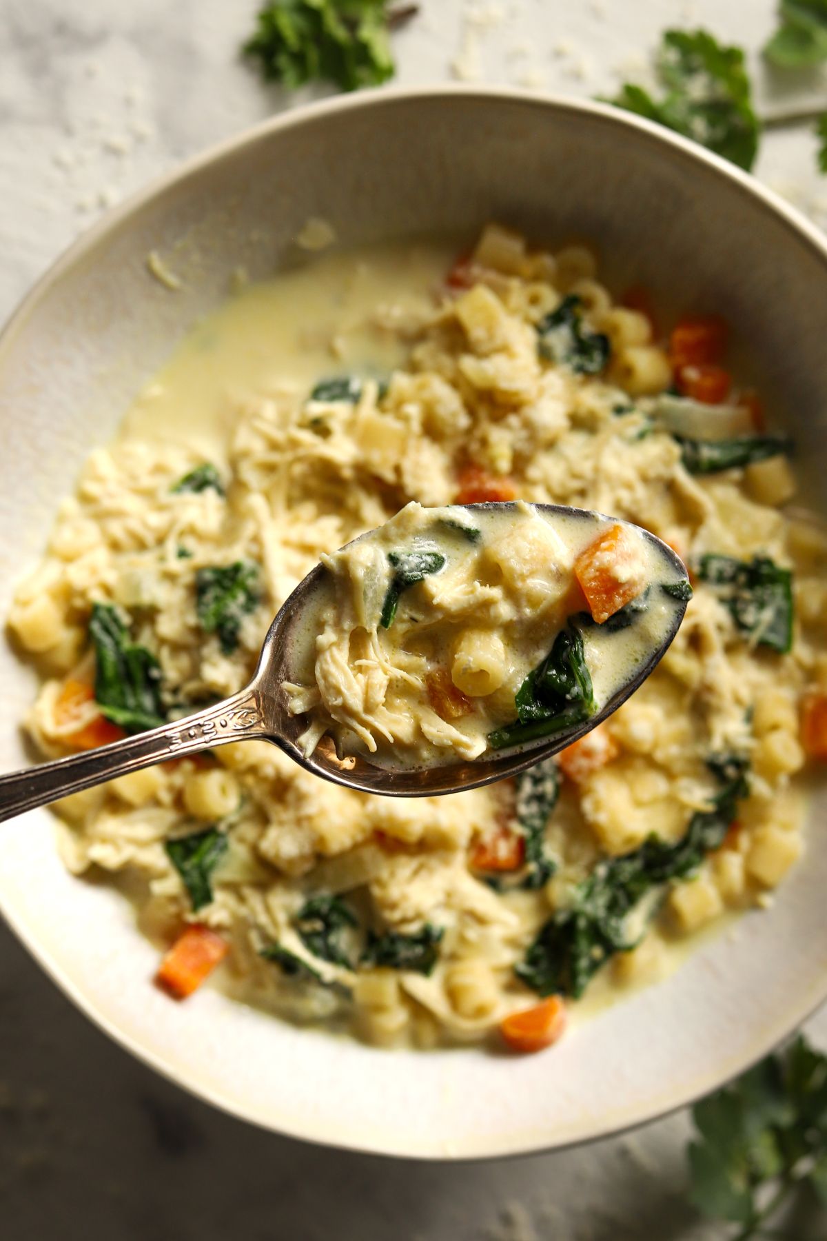 Satisfying Chicken Pasta Soup