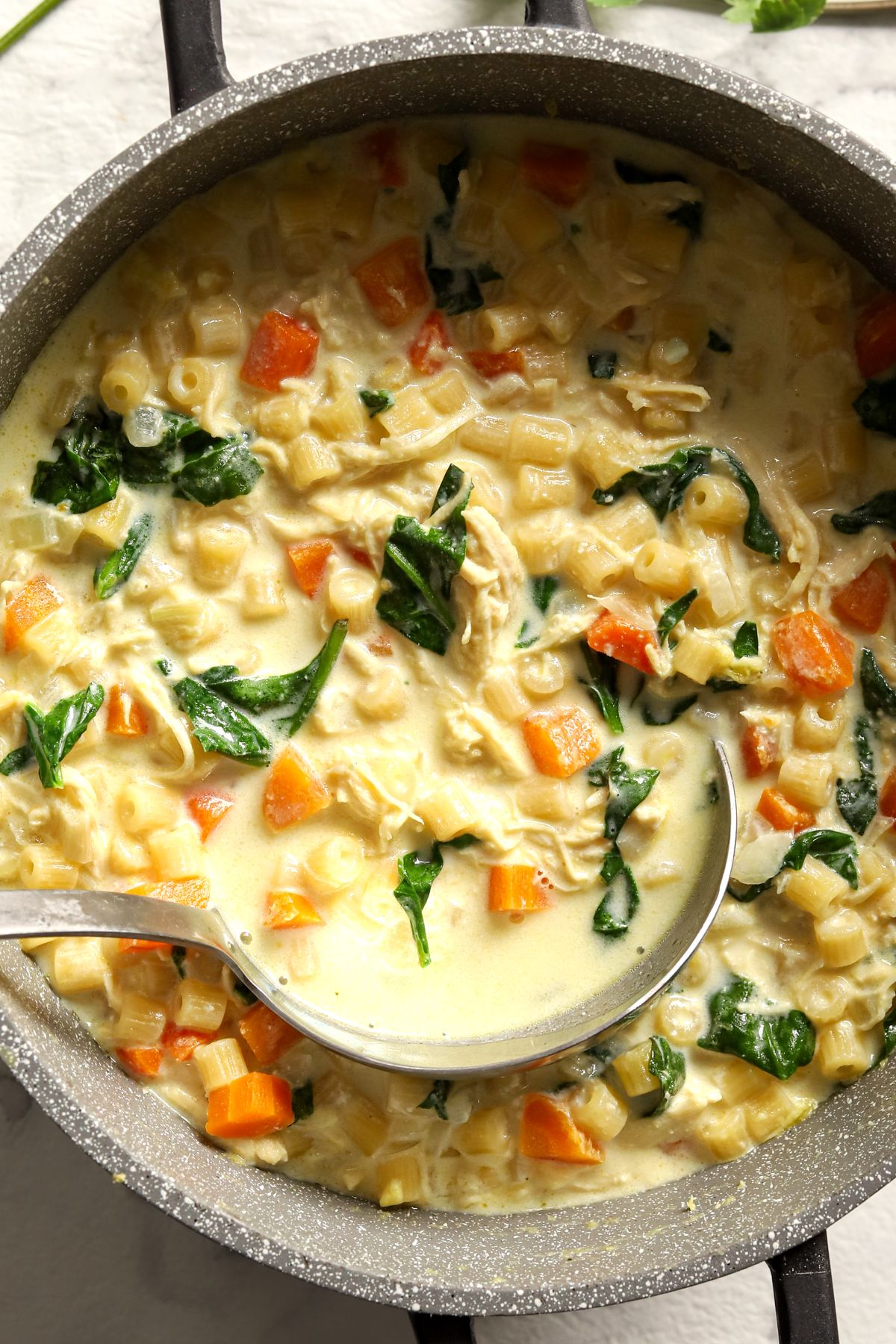 Delicious Chicken Pasta Soup