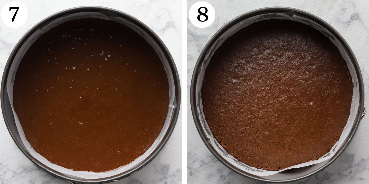 Delectable Chocolate Protein Cake