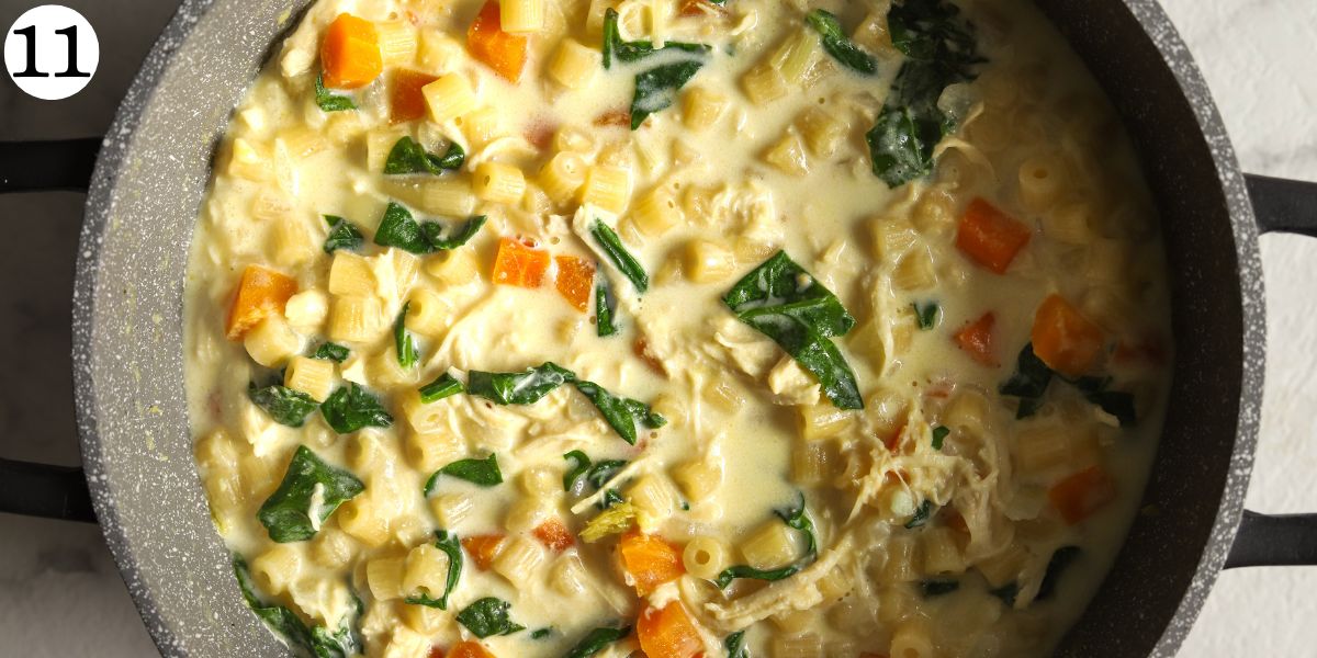 Mouthwatering Chicken Pasta Soup