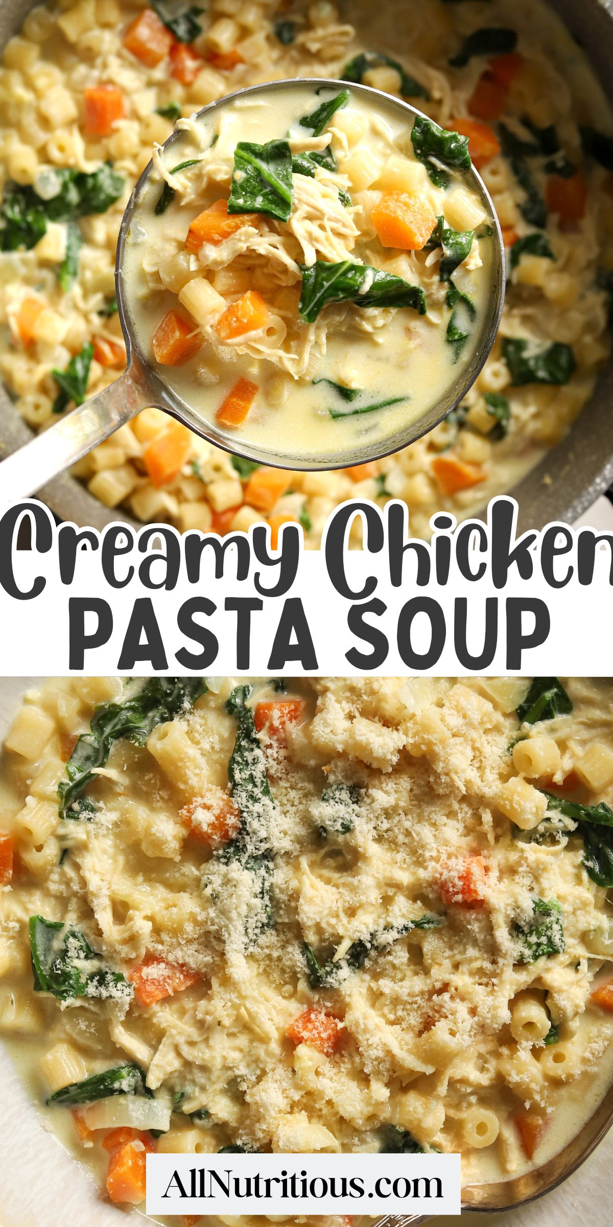 Creamy Chicken Pasta Soup