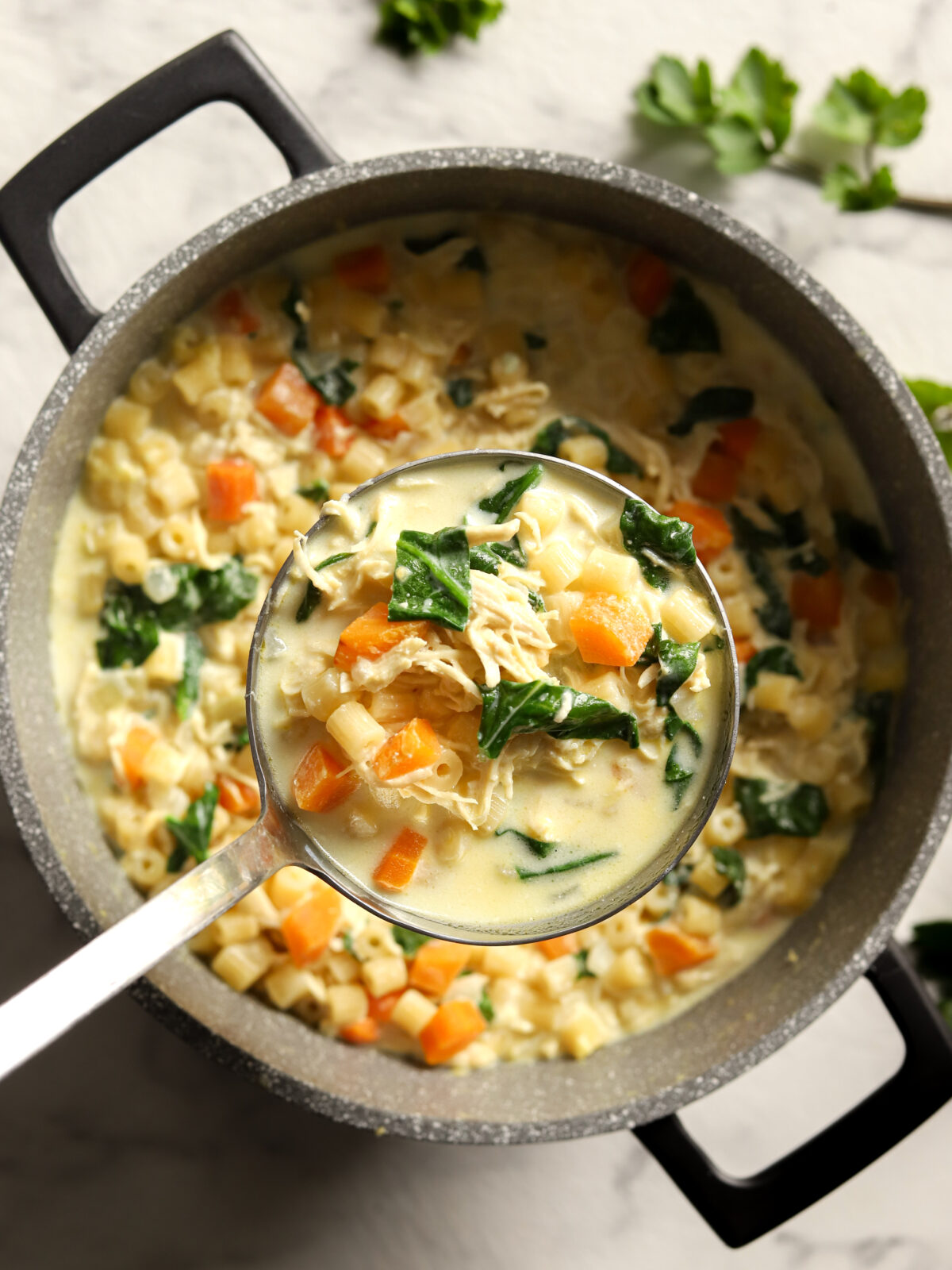 Creamy Chicken Pasta Soup