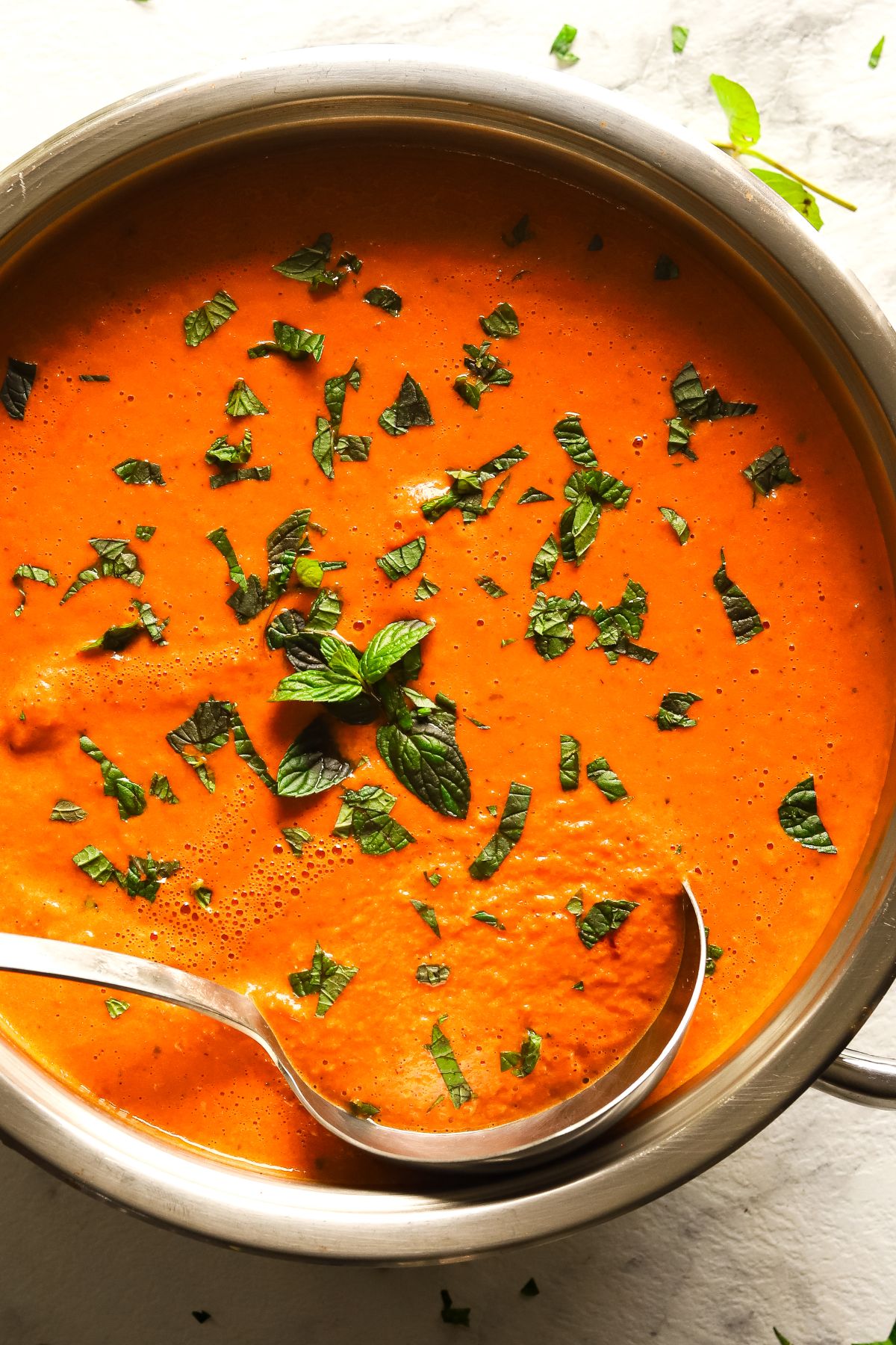 Healthy Cottage Cheese Tomato Soup