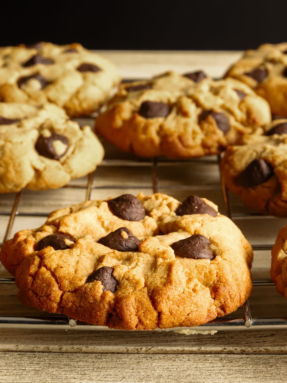 Yummy Flourless Peanut Butter Chocolate Chip Cookies