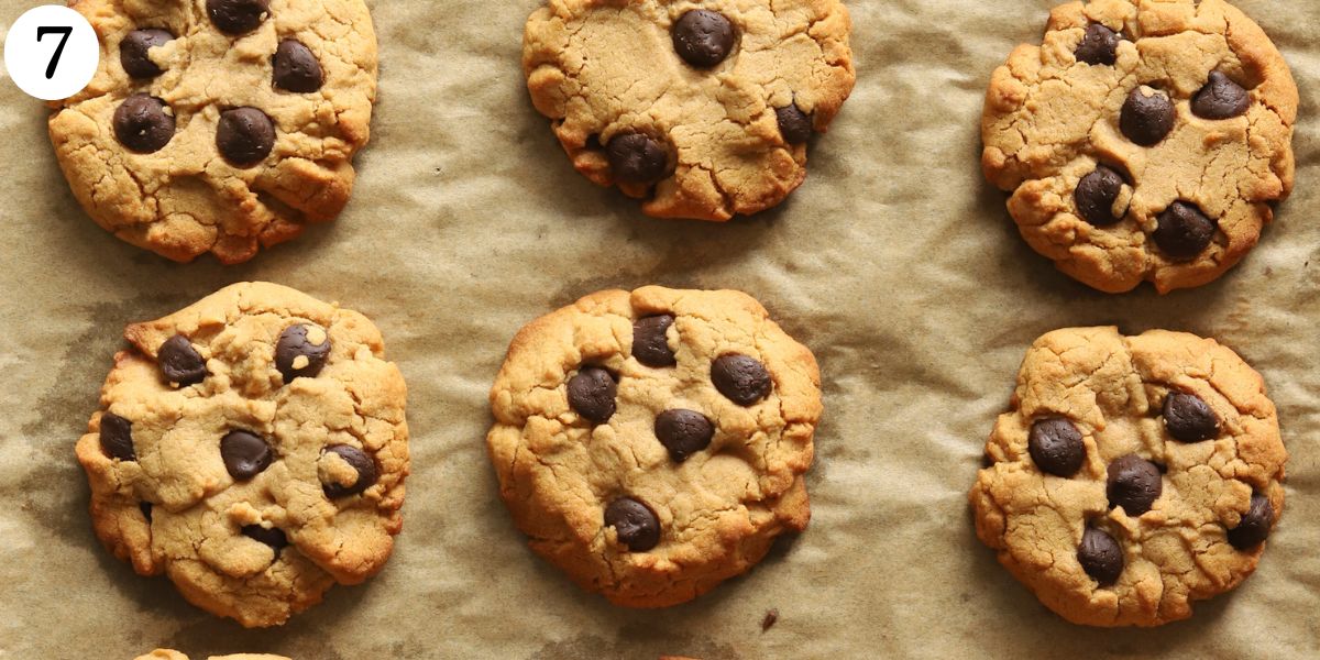 Delectable Flourless Peanut Butter Chocolate Chip Cookies