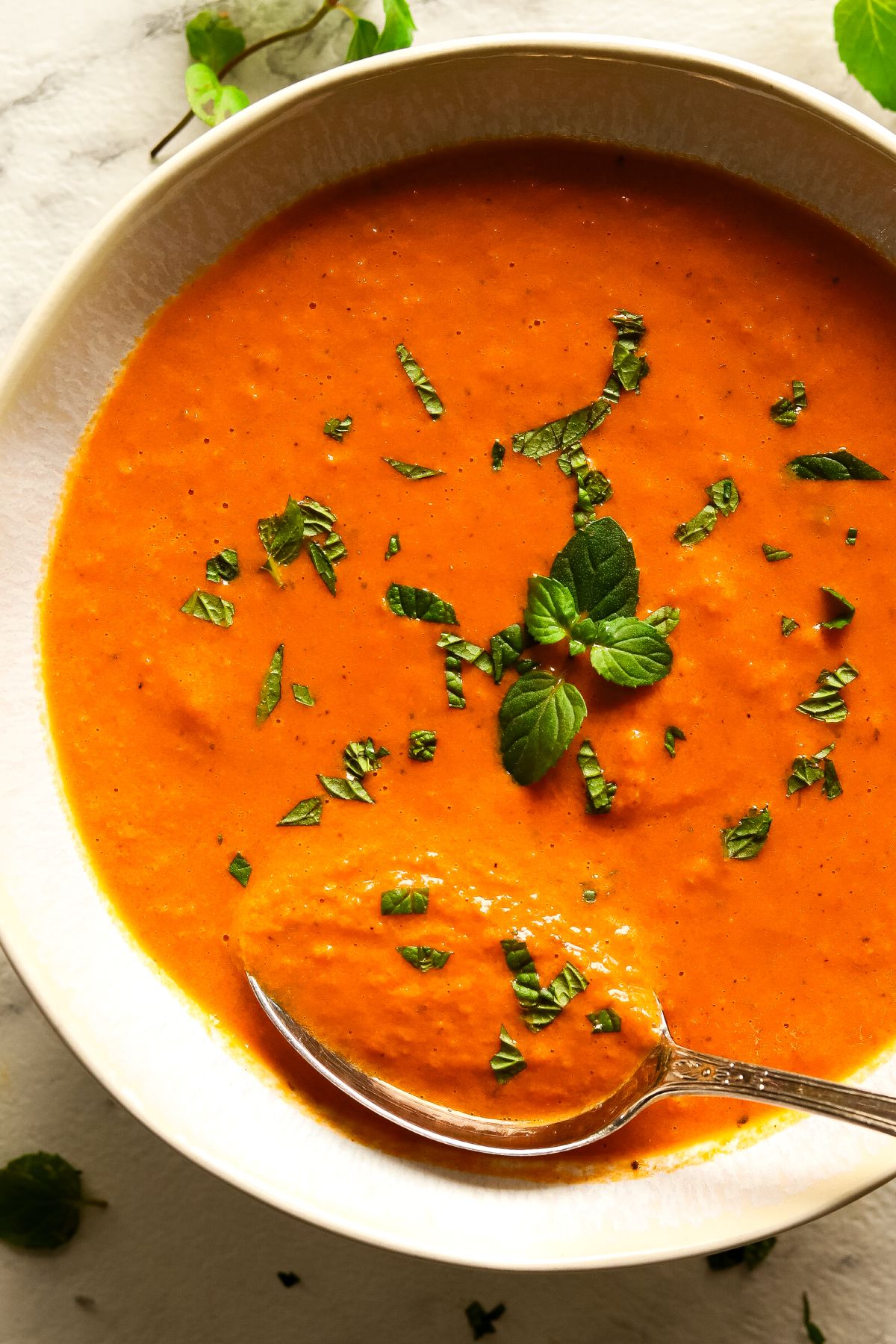 Delectable Cottage Cheese Tomato Soup