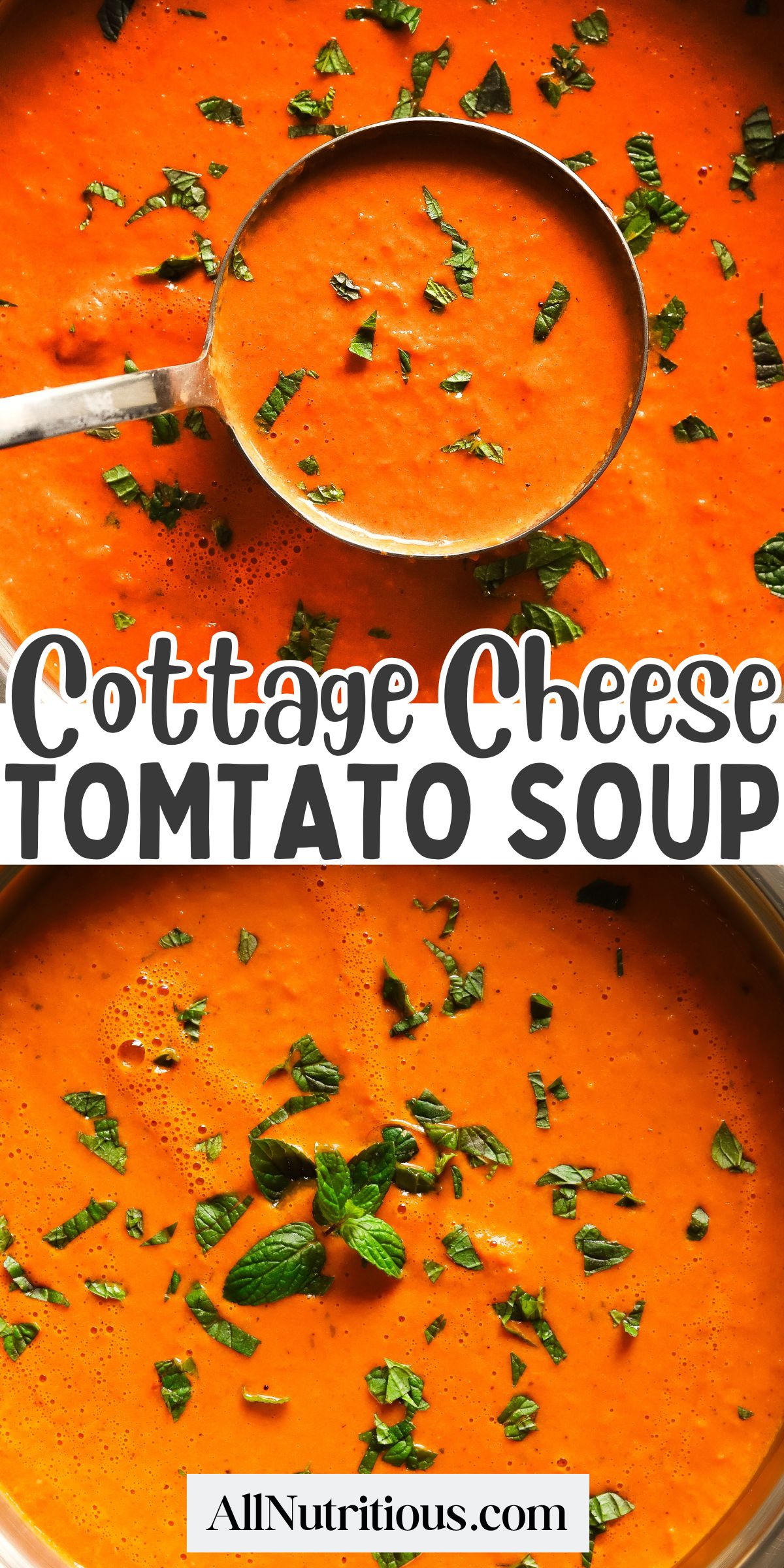 High Protein Cottage Cheese Tomato Soup