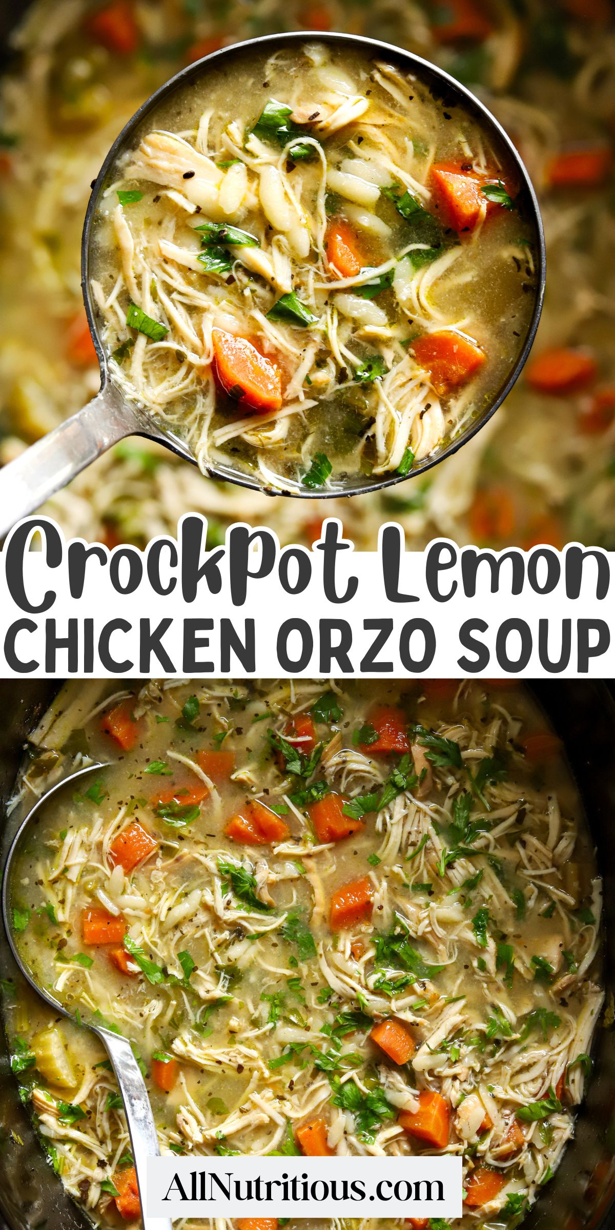 Crockpot Lemon Chicken Orzo Soup