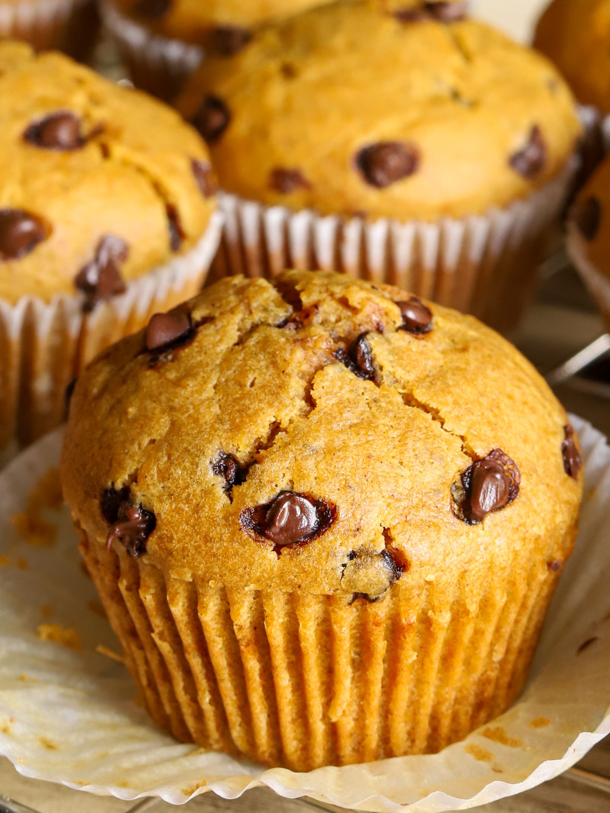 Cottage Cheese Pumpkin Muffins