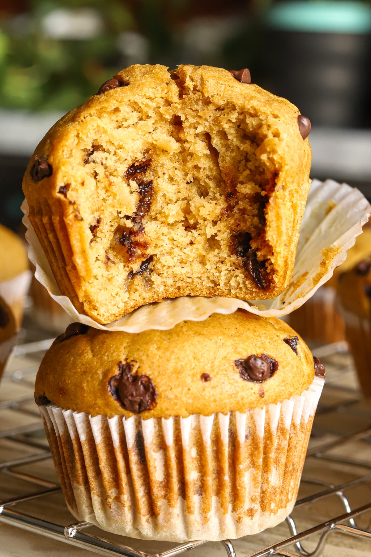 Healthy Cottage Cheese Pumpkin Muffins