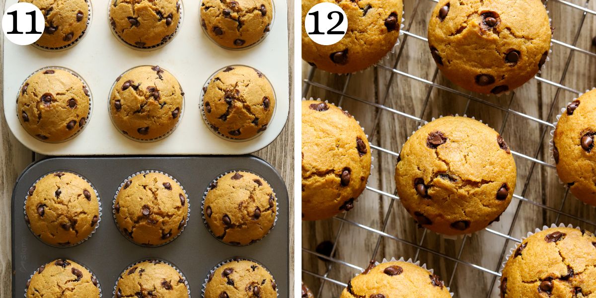 Satisfying Cottage Cheese Pumpkin Muffins