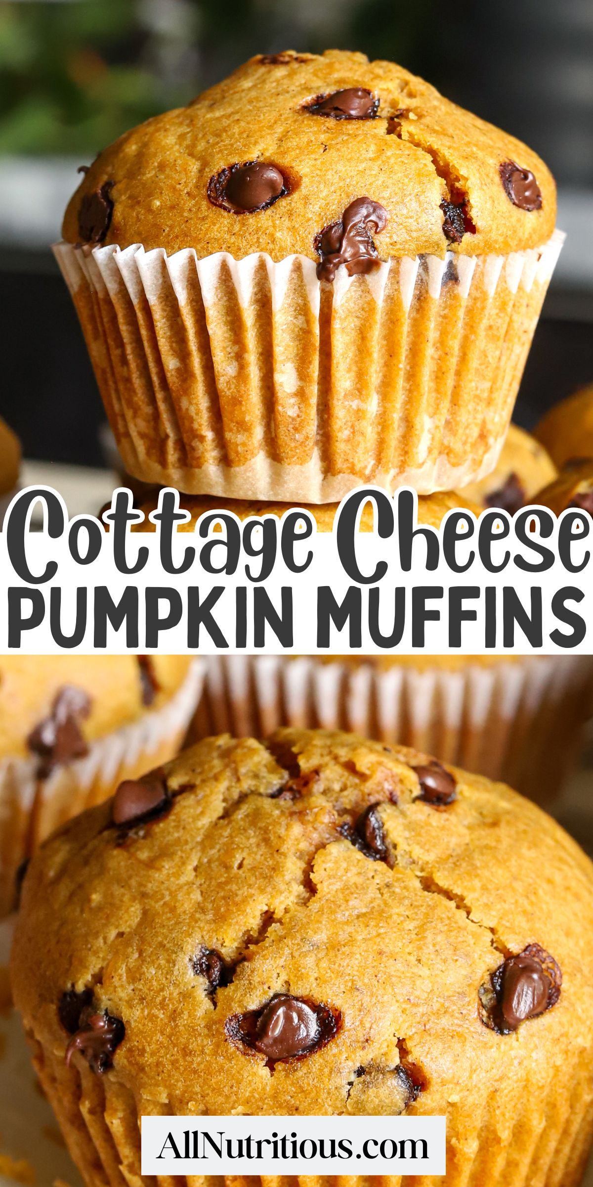 Cottage Cheese Pumpkin Muffins